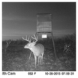 2015 Trail CAM photos